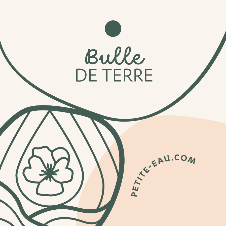 Bulle de Terre