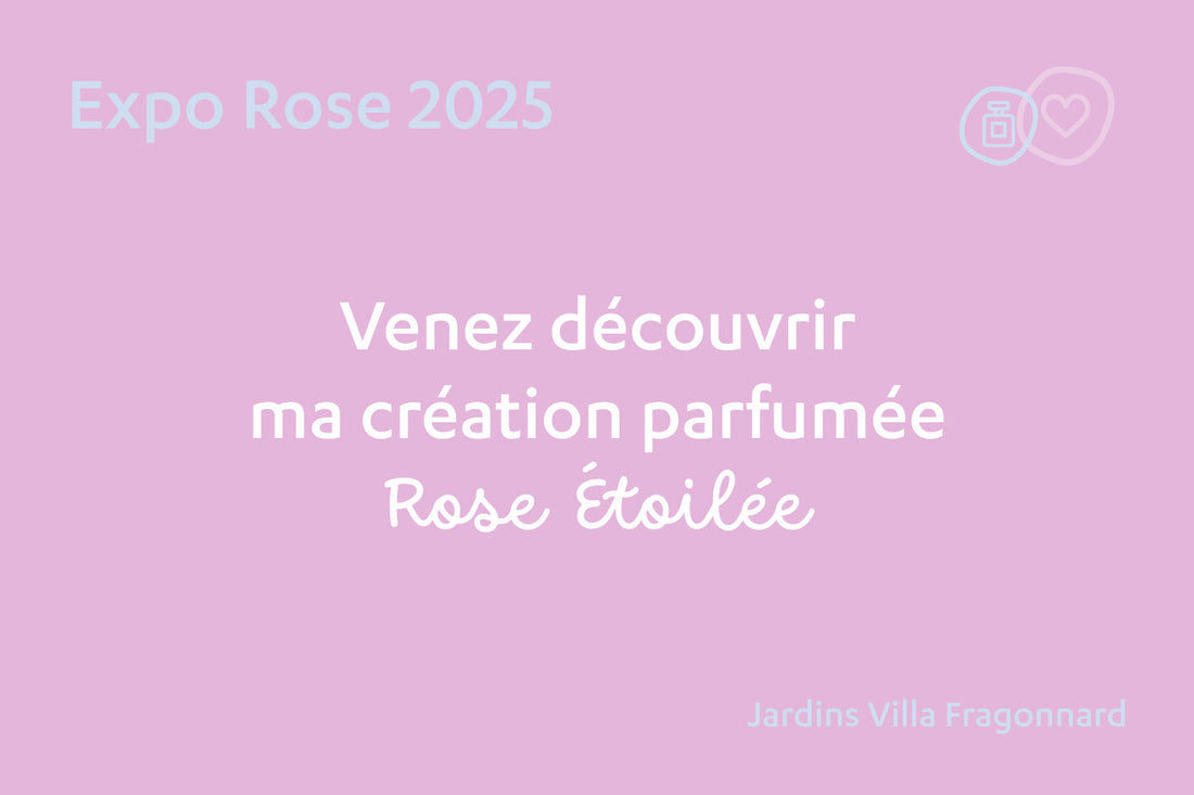 Ouverture de l'Expo Rose à Grasse, capitale mondiale du parfum