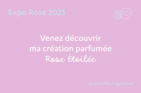 Ouverture de l'Expo Rose à Grasse, capitale mondiale du parfum